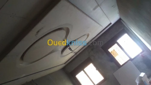 toute  travaux placo platre 