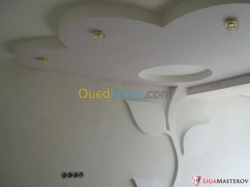 toute  travaux placo platre 