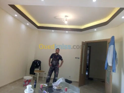 peintre  decouration et Placo 