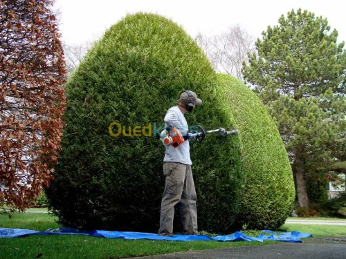 Nettoyage & Jardinage