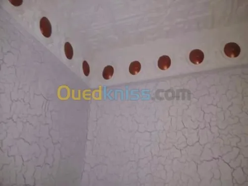 peintre de tout les qualités 