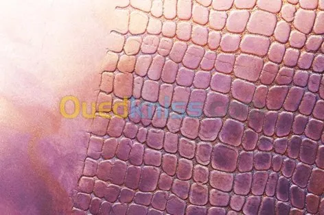 la pienture et pienture décoratife