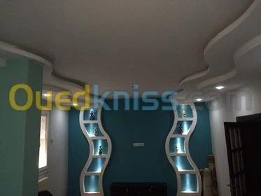 isolation et amenagement  placoplat 