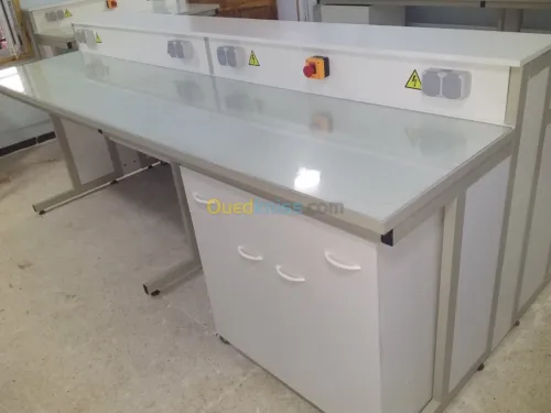 Paillasses de Laboratoire 