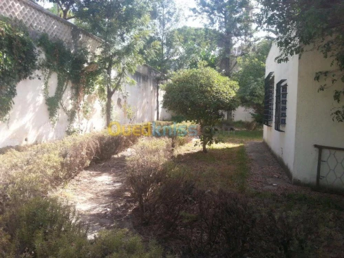 Aménagement des espaces verts jardinag