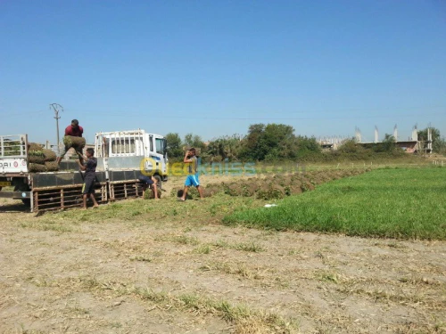 Aménagement des espaces verts jardinag