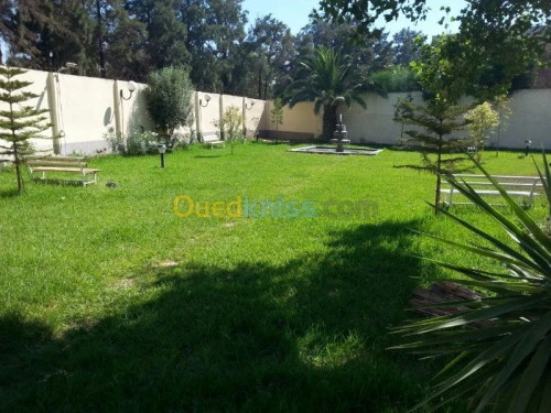 Aménagement des espaces verts jardinag