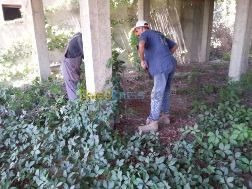Aménagement des espaces verts jardinag