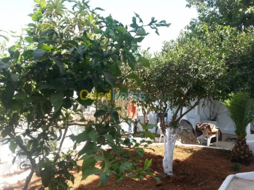 Aménagement des espaces verts jardinag