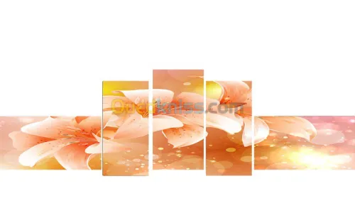 Vente de Tableaux décoratifs Modernes 