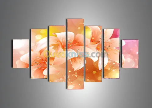 Vente de Tableaux décoratifs Modernes 