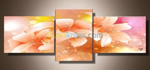 Vente de Tableaux décoratifs Modernes 