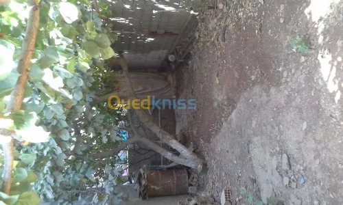 Vente Villa Blida Meftah