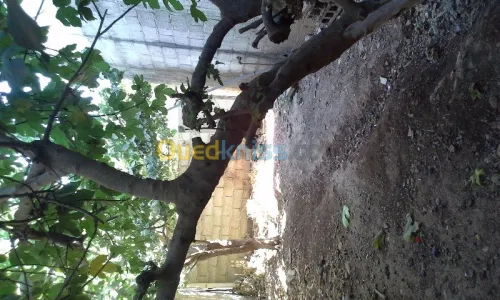 Vente Villa Blida Meftah