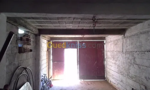 Vente Villa Blida Meftah