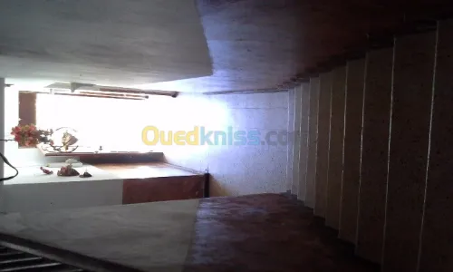 Vente Villa Blida Meftah