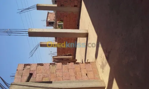 Vente Villa Blida Meftah