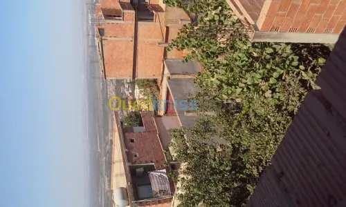 Vente Villa Blida Meftah