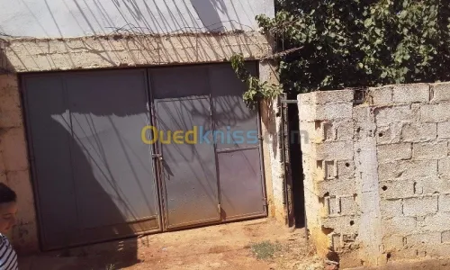 Vente Villa Blida Meftah