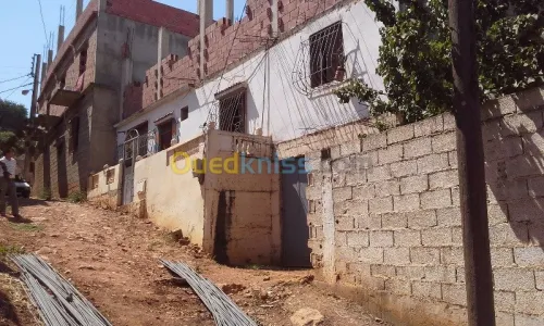 Vente Villa Blida Meftah