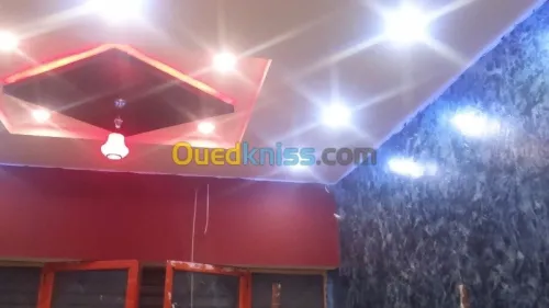 tout vous travaux de placo ba13 