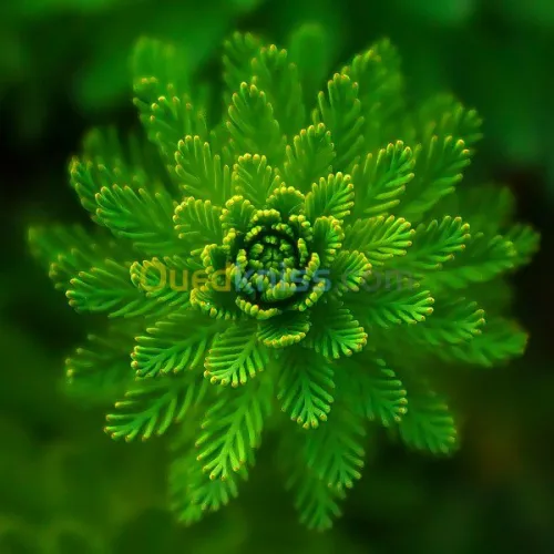 kinésithérapeute  à domicile 