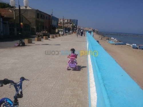 Vente Terrain Tipaza Bou ismail