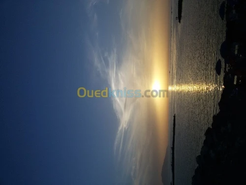 Vente Terrain Tipaza Bou ismail