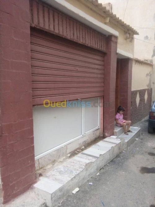Vente Terrain Tipaza Bou ismail
