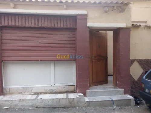 Vente Terrain Tipaza Bou ismail