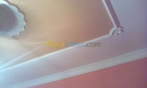 Vente Villa Tlemcen Ain youcef