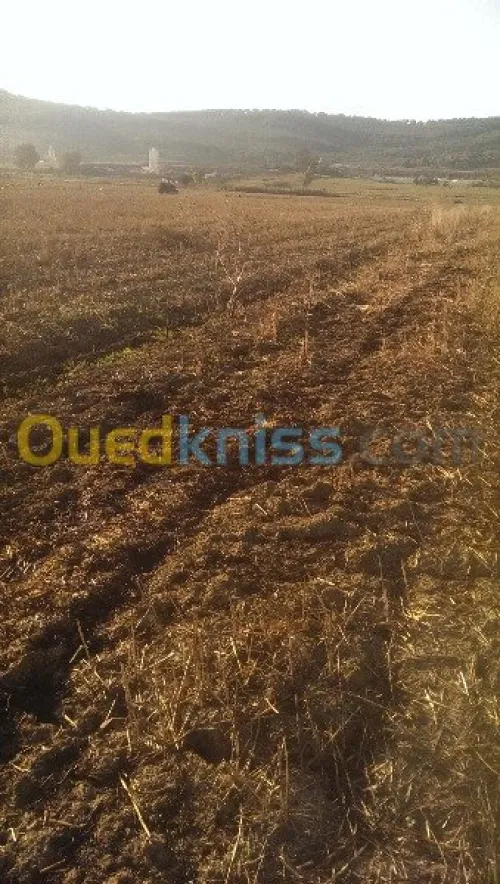 Analyse de sol agricole et les eaux 