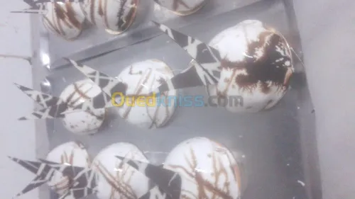 Traiteurs et gateaux