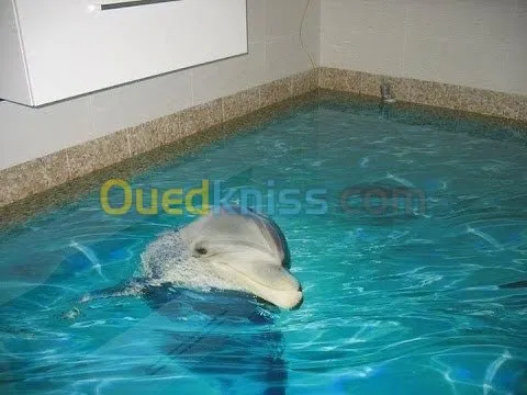 applicatoin epoxy 3D