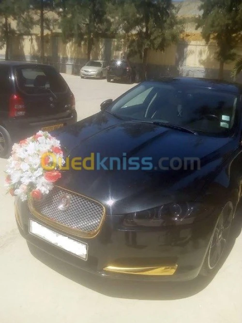 Location voiture Jaguar pour Mariage 