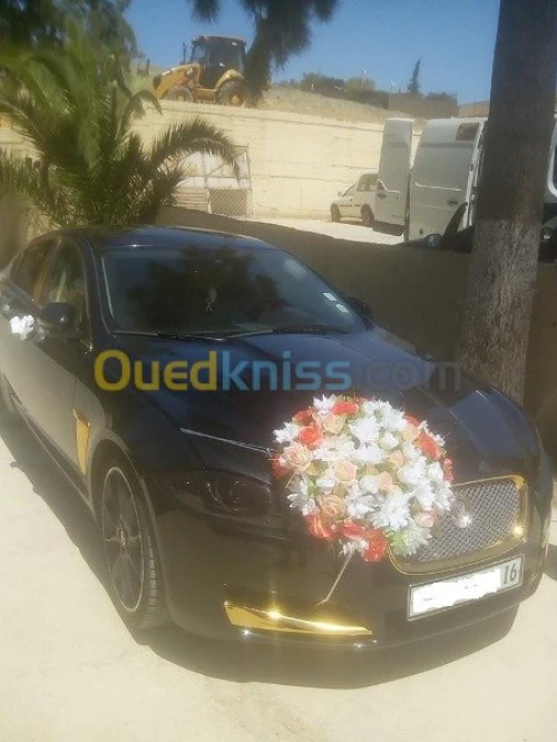 Location voiture Jaguar pour Mariage 