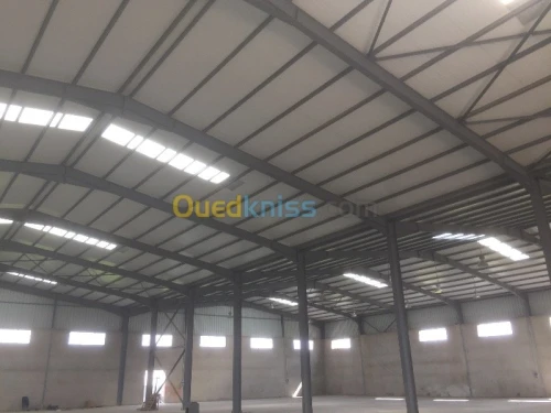 Location Hangar Alger Oued smar