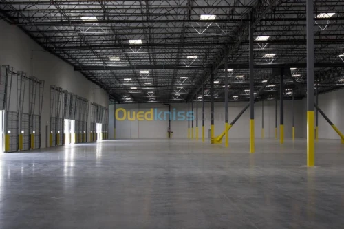 Location Hangar Alger Oued smar