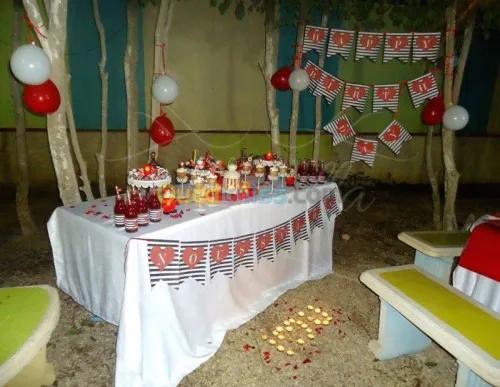 organisation des fêtes..