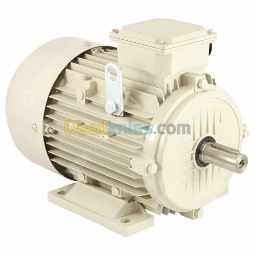 Moteur electrique pour pompe lavage