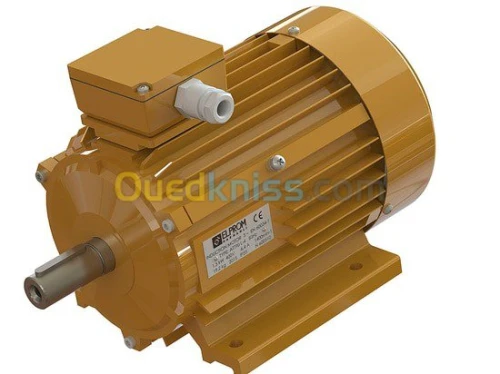 Moteur electrique pour pompe lavage