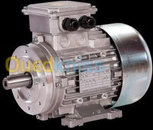 Moteur electrique pour pompe lavage