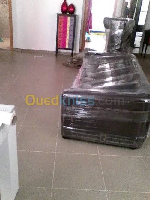 نقل وترحيل الأثاث /DÉMÉNAGEMENT __