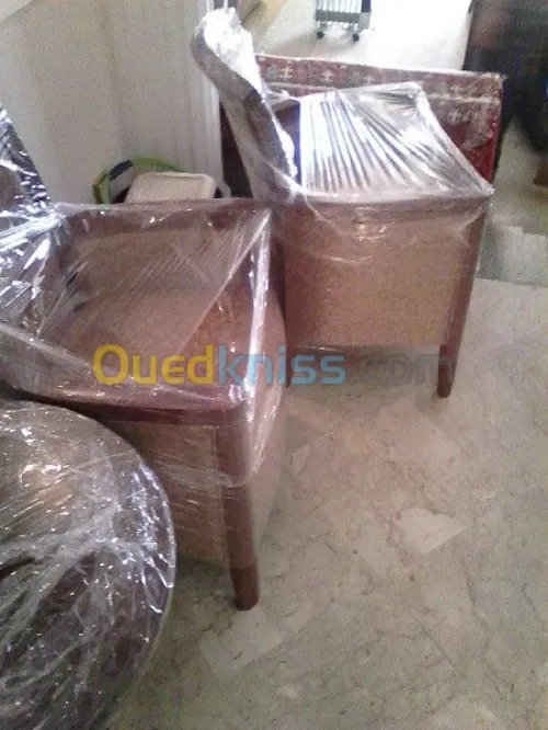 نقل وترحيل الأثاث /DÉMÉNAGEMENT __