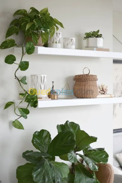 Etagere de Décoration