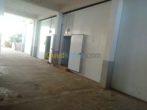 CHAMBRE FROIDE POSITIVE