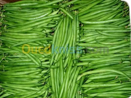 FRITE FRAICHE LEGUME RAPEEEN SOUS VIDE