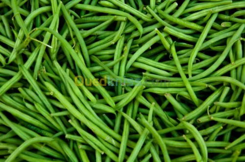 FRITE FRAICHE LEGUME RAPEEEN SOUS VIDE