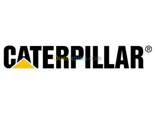 Réparation injecteurs Caterpillar HEUI