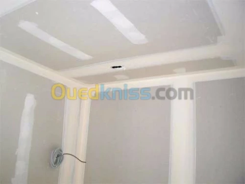 faux pafond ;et separation ba13 